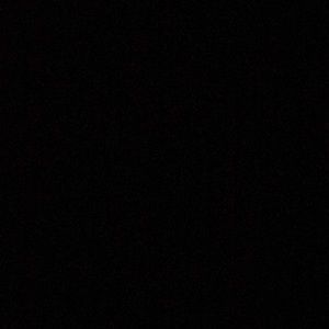 Meet your Posher, Ricky